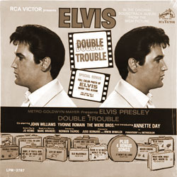 Cover of Double Trouble (1967)